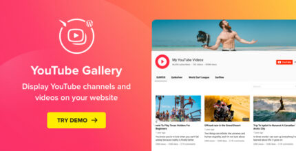 WordPress YouTube gallery plugin showing a channel header and a responsive grid of video previews