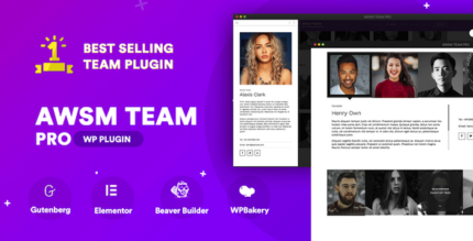Team showcase WordPress plugin with grid of team member photos, names and social icons